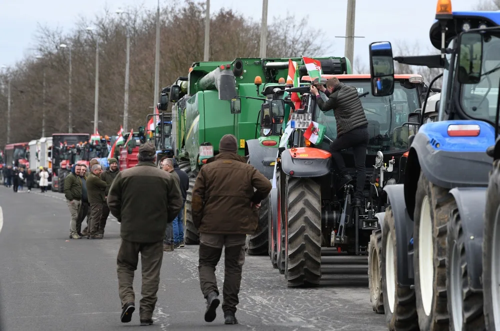 Hungary's Election: A Clash Over Sovereignty, Agriculture, and the Future of Economic Autonomy