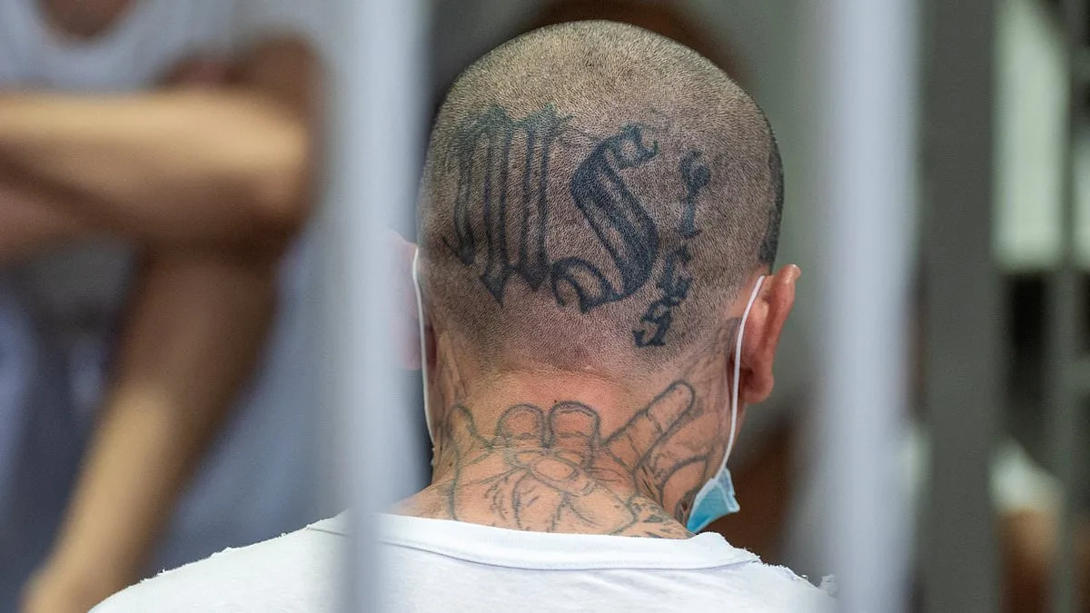 MS-13 Gang Members on Trial for Alleged 11-Murder Spree Across Nevada and California