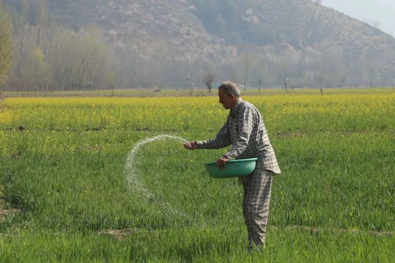 Soaring Fertilizer Prices Push South Asian Farmers to the Brink