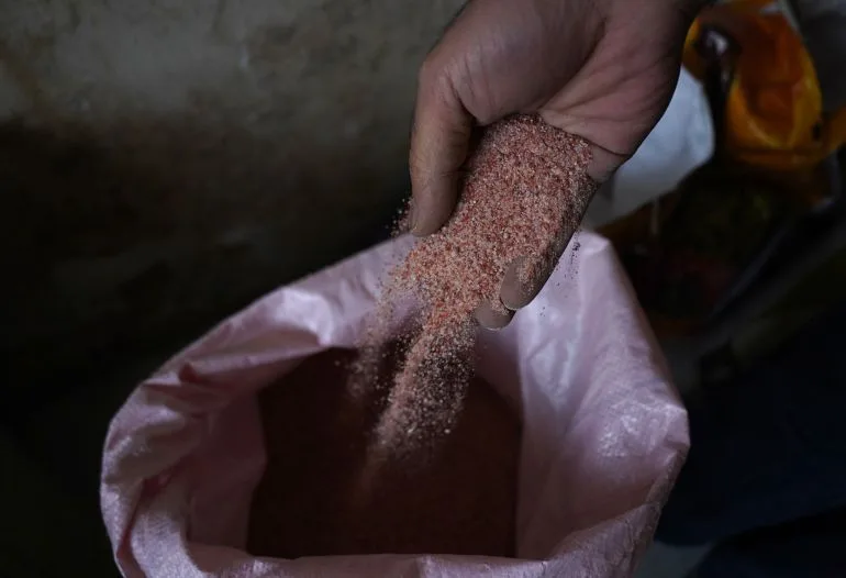 Soaring Fertilizer Prices Push South Asian Farmers to the Brink