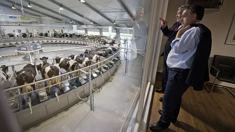 Beyond the Headlines: Hungary's Agrarian Heart Fuels Economic Growth