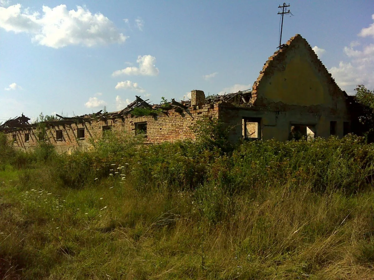 Beyond the Headlines: Hungary's Agrarian Heart Fuels Economic Growth