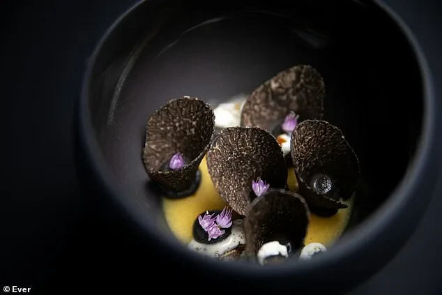 Former Board Member Accused of Siphoning $1.4 Million for Strip Club Visits, Luxury Goods, and Dog Air Travel in Lawsuit by Chicago Restaurant Group