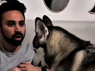 New AI tool translates absurd LinkedIn jargon back into plain English.