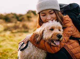 Tick bite ER visits surge in Northeast, doubling national averages