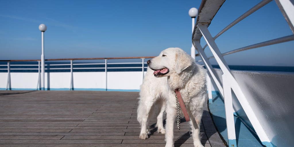 Major cruise line bans lifted as Fabled Voyages welcomes pets aboard ships.