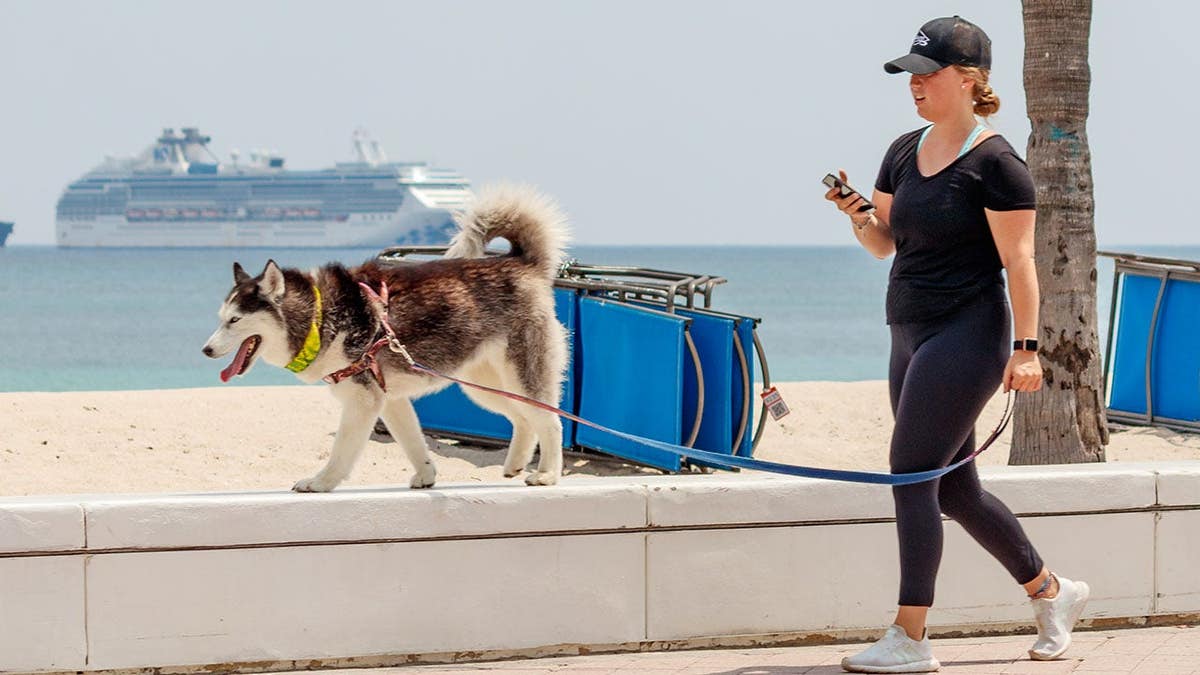 Major cruise line bans lifted as Fabled Voyages welcomes pets aboard ships.