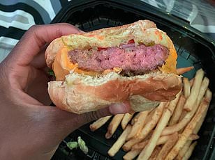 Scammers weaponize AI to steal thousands from Florida pet owners