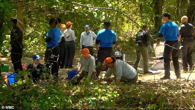 DNA testing seeks to rule out Skelton brothers in Memphis child remains case.