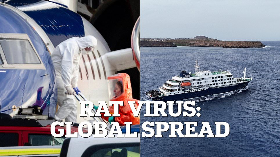 Experts warn cruise ships hide deadly dangers as infections spread rapidly.