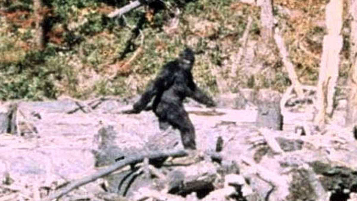 Former Army Veteran Reports Massive Bigfoot Surge in Ohio