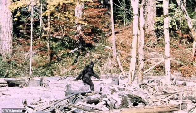 Former Army Veteran Reports Massive Bigfoot Surge in Ohio