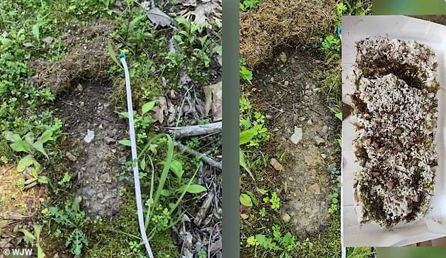 Former Army Veteran Reports Massive Bigfoot Surge in Ohio