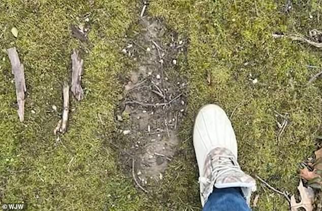 Former Army Veteran Reports Massive Bigfoot Surge in Ohio
