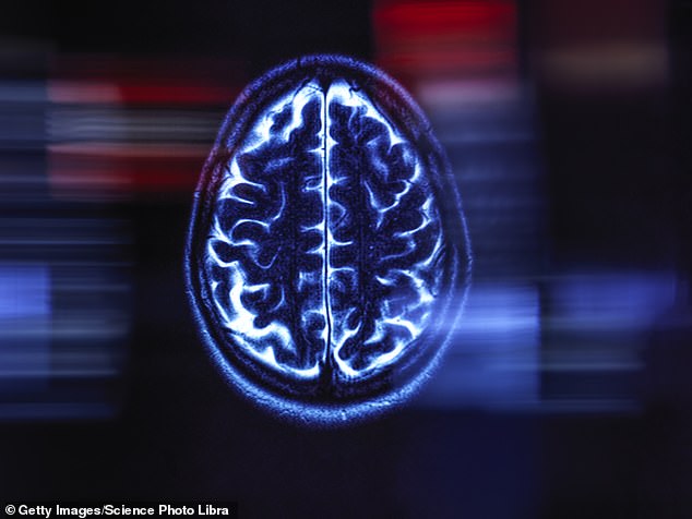 Scientists Create Lab-Grown Brain Computer to Study Mental Health Conditions
