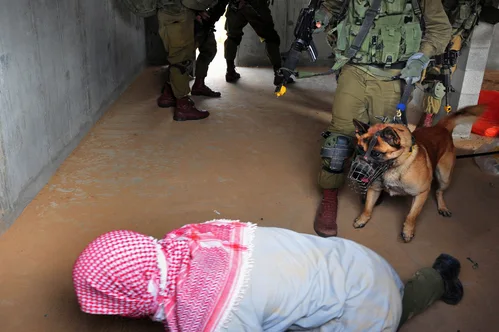 Israel Deports Pro-Palestinian Activitors After Controversial Detention and Video