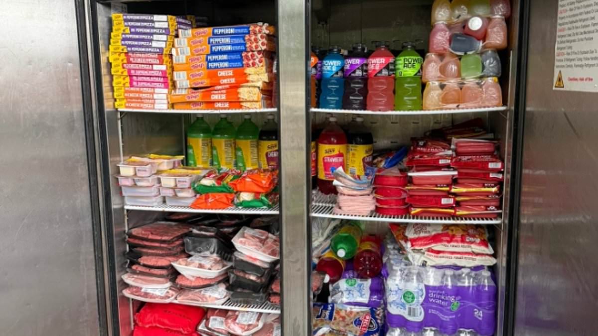 Louisiana mother weeps as community fridge emptied in 40 minutes.