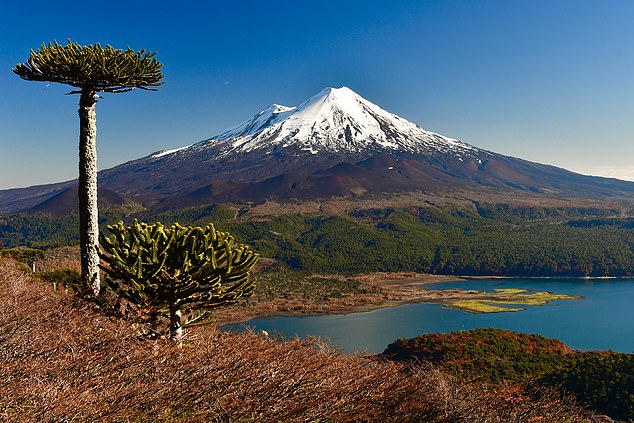 Tragic fall kills 42-year-old climber celebrating birthday on Chile volcano