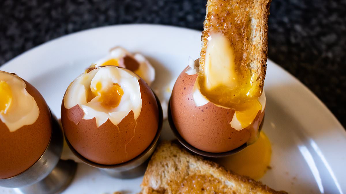 Experts say standard eggs offer better value than luxury Burford Browns.