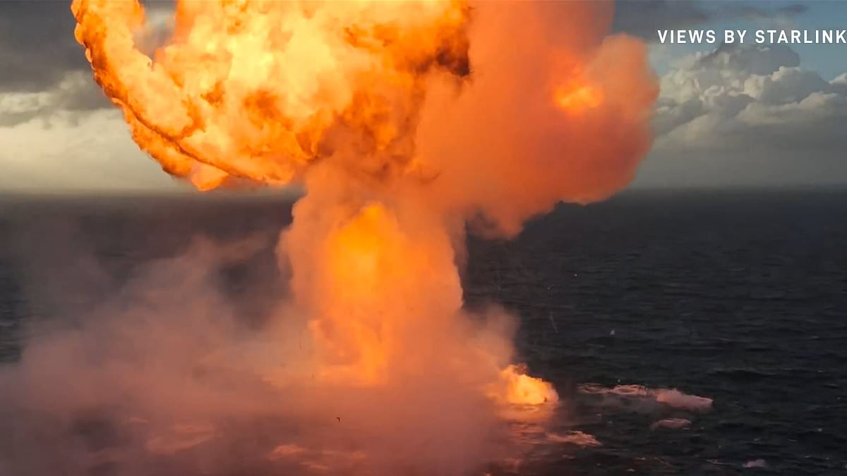 SpaceX declares Flight 12 a success despite engine loss and Indian Ocean splashdown.