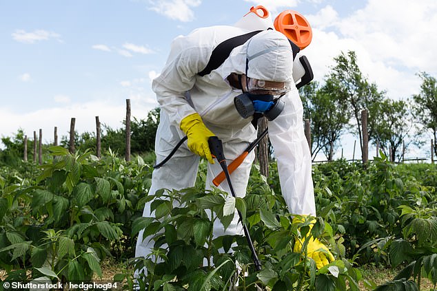 Vermont bans paraquat pesticide, becoming first U.S. state to prohibit the chemical.