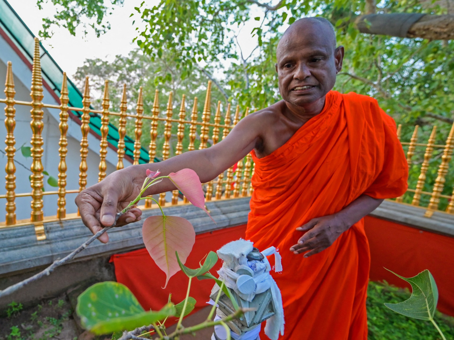 Sri Lanka Suspends Senior Monk for Child Abuse Allegations at Sacred Temple