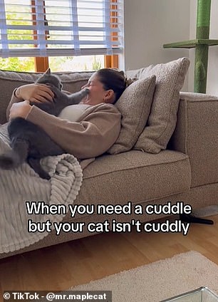 Cat Hugs May Actually Increase Stress Instead of Providing Comfort
