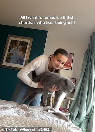 Cat Hugs May Actually Increase Stress Instead of Providing Comfort