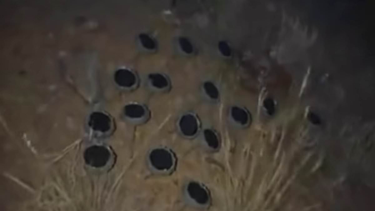 Woman Finds Hundreds of Speakers Blasting Eerie Noises in California Forest