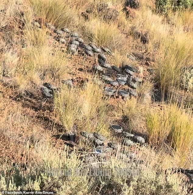 Woman Finds Hundreds of Speakers Blasting Eerie Noises in California Forest