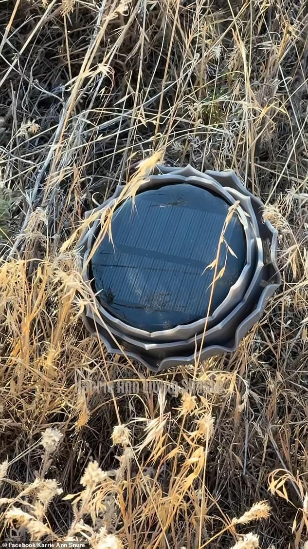 Woman Finds Hundreds of Speakers Blasting Eerie Noises in California Forest