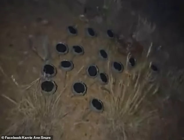Woman Finds Hundreds of Speakers Blasting Eerie Noises in California Forest