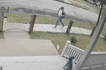 Surveillance Footage Captures Heart-Stopping Child Abduction Attempt in Houston