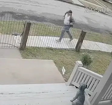 Surveillance Footage Captures Heart-Stopping Child Abduction Attempt in Houston