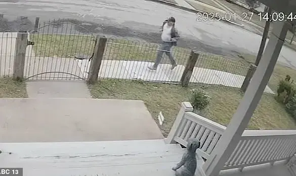 Surveillance Footage Captures Heart-Stopping Child Abduction Attempt in Houston