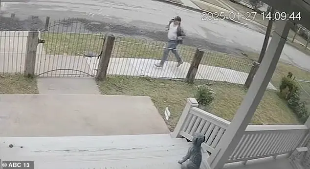 Surveillance Footage Captures Heart-Stopping Child Abduction Attempt in Houston