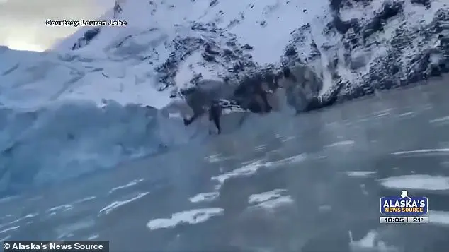 Alaska Glacier Collapse Leaves Two Stranded, But Rescue Ensues