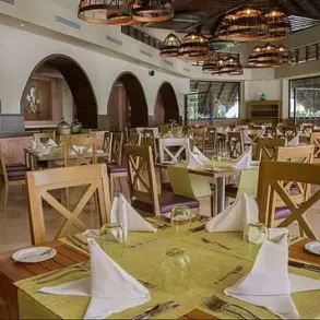 Canadian Couple Alleges Negligence in Dominican Republic Resort Experience