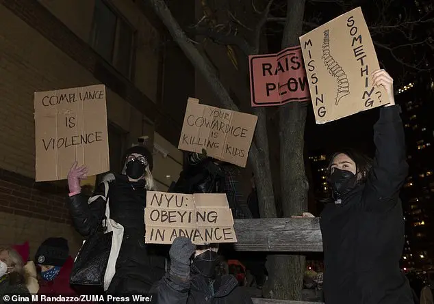 Cynthia Nixon speaks out in support of transgender children during NYC protest