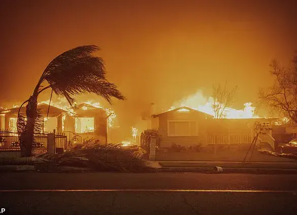 David Esquivel's Tragic Escape from the Eaton Fire