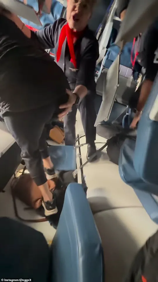 Delta Air Lines Flight Crashes in Toronto; Passengers Describe Terrifying Moment