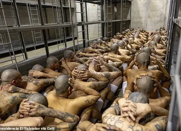 El Salvador Agrees to Take Back Deported Citizens and Gang Members
