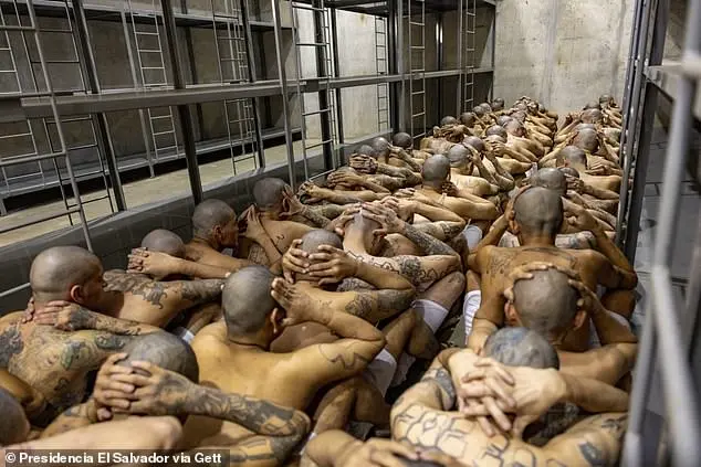 El Salvador Agrees to Take Back Deported Citizens and Gang Members