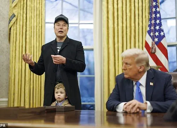 Elon Musk Uncovers Social Security Scandal: Over 20 Million Elderly Still 'Alive' and Receiving Benefits