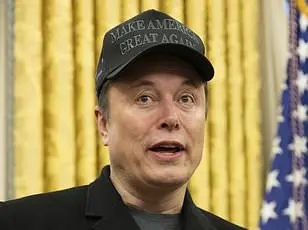 Elon Musk's Department of Government Efficiency