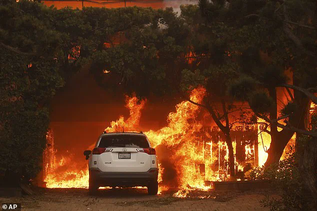 Internal Drama: Firing of Los Angeles Fire Department Chief Rachel Crowley