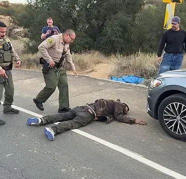 LA wildfire survivors chase and apprehend suspected arsonist
