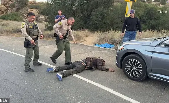 LA wildfire survivors chase and apprehend suspected arsonist