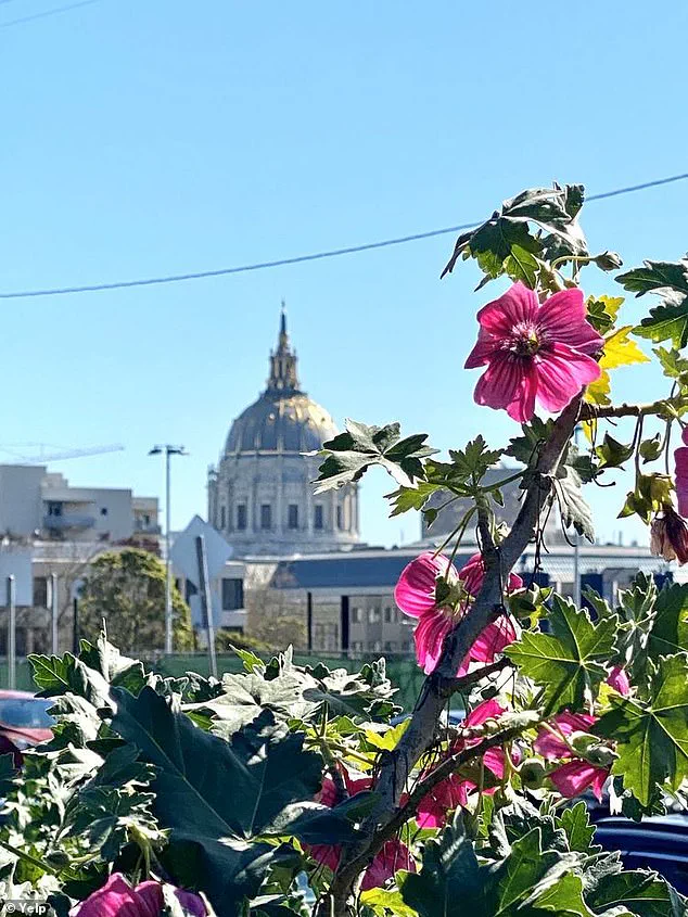 San Francisco's Jefferson Square Park becomes a drug hotspot