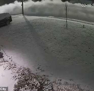 Snow Plow Race: Kansas City Driver Speeds Down Street, Worries Residents